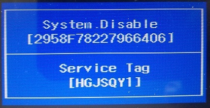 system disable dell